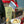 Load image into Gallery viewer, Let’s Celebrate Hamper
