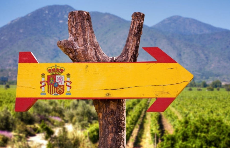 Spanish Wine Tasting 6.30pm - 8pm 13th February 2026