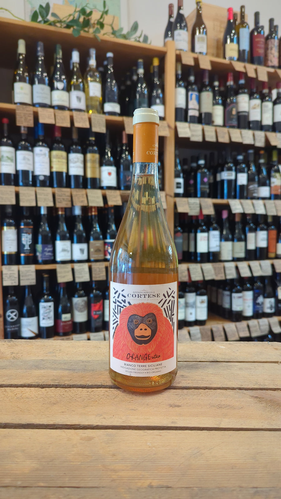 Cortese Nostru Orange Bianco 2023, Terre Siciliane IGP, Italy (12%)