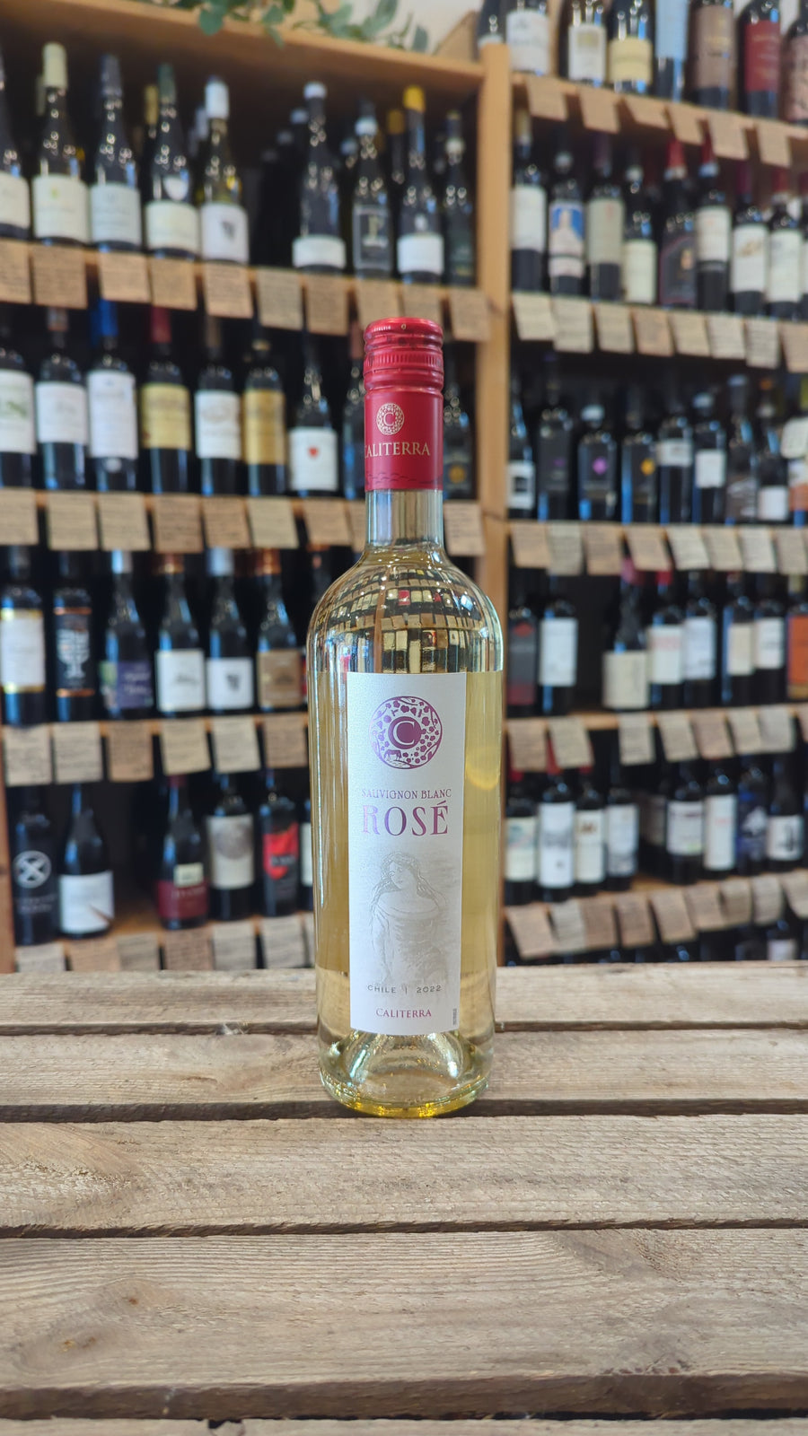 Caliterra Sauvignon Blanc Rose 2022, Chile (13%)
